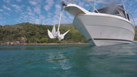 All Terrain Anchor (Stainless Steel)