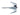 Tiger Reef & Sand Anchor (Galvanised Steel)