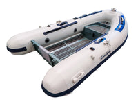 Sword Fighter Silverfin 300